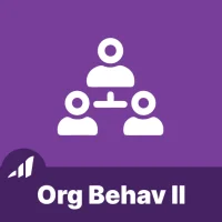 Organizational Behavior II